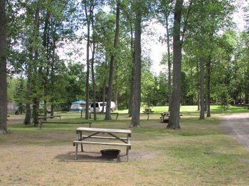 Jell E Bean Campground And Trailers Hotell Wasaga Beach Exteriör bild